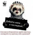 Аватар для KenShi